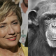 Image for article titled Hillary Clinton Can Win The Presidency, Sez Chimp